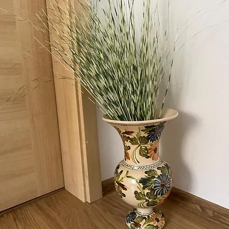 Dom Melissa V Malebnej Obci Banka Holiday home